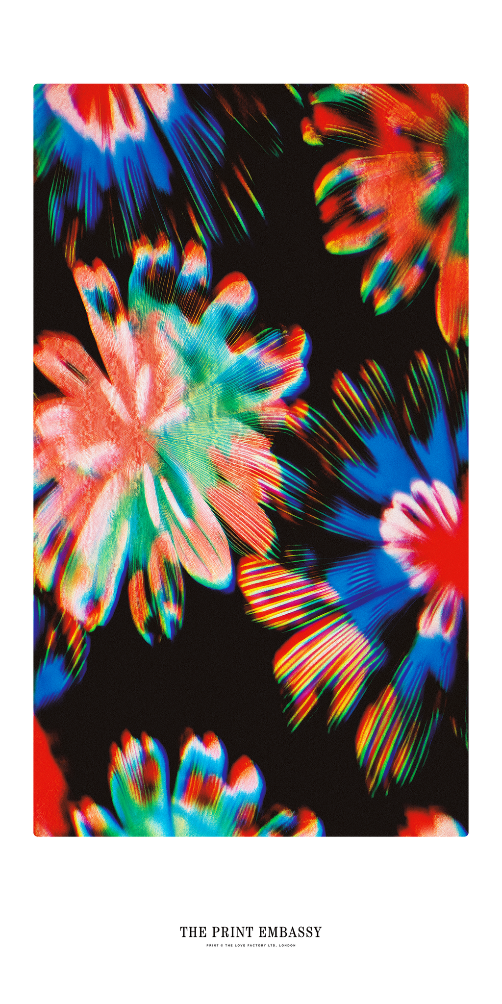An oversized poster with a colorful abstract floral print on a black background with 'The Print Embassy' branding.